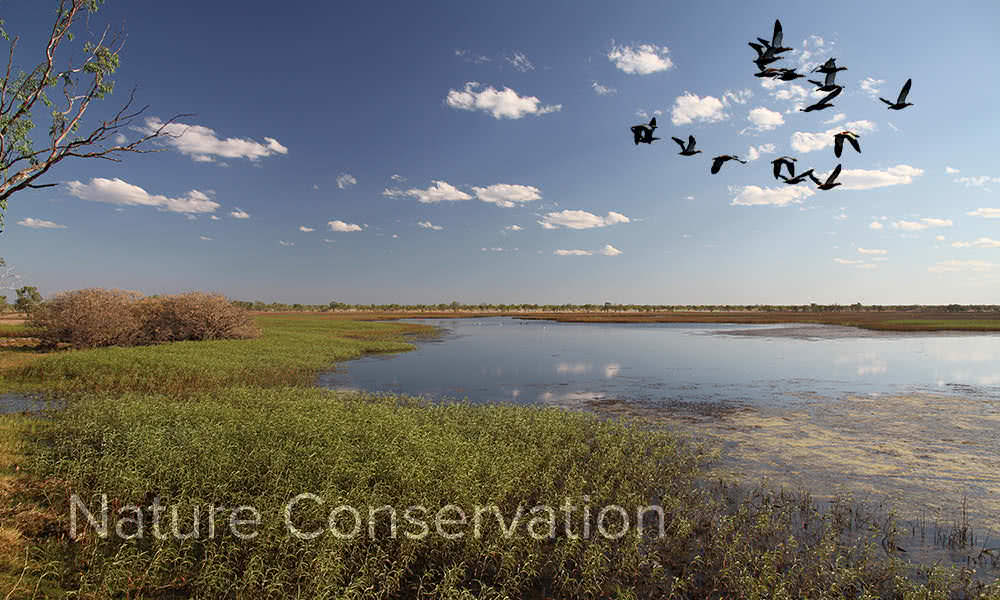 生態保育/Nature Conservation
